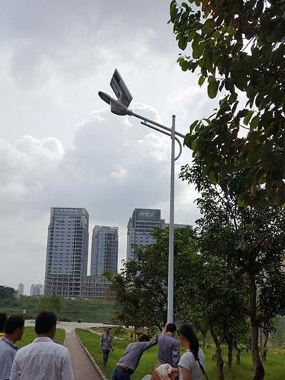 solar swan light project in South China
