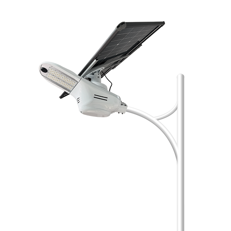 Solar Street Light With Adjustable Solar Panel