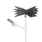 Special Solar Street Light for Government Project